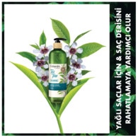 Naturals By Watsons Şampuan Tea Tree 490 ml