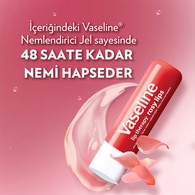 Vaseline Rosy Dudak Bakım Kremi ve Dudak Parlatıcısı 4.8 g