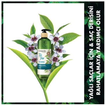 Naturals By Watsons Şampuan Tea Tree 490 ml