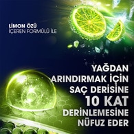 Clear Men Kepeğe Karşı Etkili Şampuan Maksimum Ferahlık 350 ml