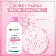 Garnier Esas Bakım Micellar Makyaj Temizleme Suyu 200 ml