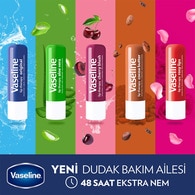 Vaseline Rosy Dudak Bakım Kremi ve Dudak Parlatıcısı 4.8 g